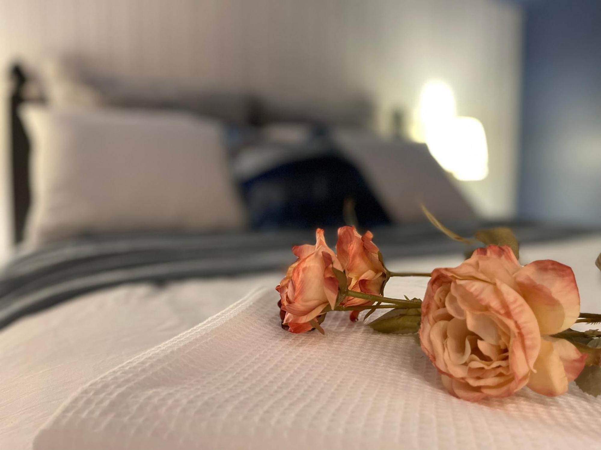 Golf Viwe House Otel Ottawa Dış mekan fotoğraf